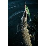 Vobleris RAPALA X-Rap® Peto XRPT-14