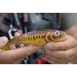 Vobleris RAPALA X-Rap® Peto XRPT-14