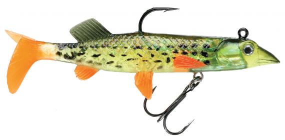 Wildeye Live Pike 6